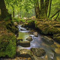 Buy canvas prints of Stream off of the River Fowey in Cornwall, UK by Chris Dorney
