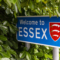 Buy canvas prints of Welcome to Essex Sign by Chris Dorney