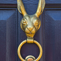 Buy canvas prints of Hare Door Knocker by Chris Dorney