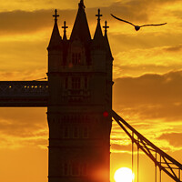 Buy canvas prints of Tower Bridge Sunset in London, UK by Chris Dorney