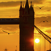Buy canvas prints of Seagulls and Tower Bridge at Dusk by Chris Dorney