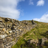 Buy canvas prints of Hadrians Wall in Northumberland, UK by Chris Dorney