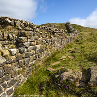 Buy canvas prints of Hadrians Wall in Northumberland, UK by Chris Dorney