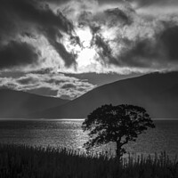 Buy canvas prints of Moody View over Loch Linnhe from Fort William in Scotland by Chris Dorney