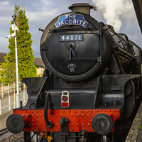 Buy canvas prints of The Jacobite Steam Train in the Highlands of Scotland by Chris Dorney