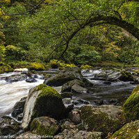 Buy canvas prints of River Braan at the Hermitage in Scotland, UK by Chris Dorney