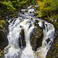 Buy canvas prints of Black Linn Waterfall in the Hermitage Woodland, Scotland by Chris Dorney