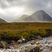 Buy canvas prints of Panoramic View of Buachaille Etive Mor in Glencoe, Scotland by Chris Dorney