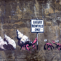 Buy canvas prints of Luxury Rentals Only Graffiti by Banksy in Cromer, Norfolk by Chris Dorney