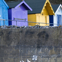 Buy canvas prints of Luxury Rentals Only Graffiti by Banksy in Cromer, Norfolk by Chris Dorney