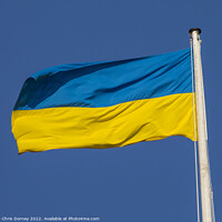 Buy canvas prints of Ukraine Flag by Chris Dorney