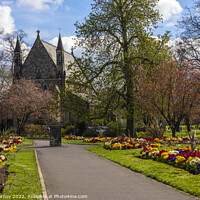 Buy canvas prints of St. Johns Church viewed from St. James Park in Kings Lynn, Norfo by Chris Dorney