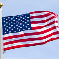 Buy canvas prints of USA Flag by Chris Dorney