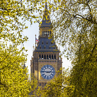 Buy canvas prints of Elizabeth Tower viewed from the Victoria Embankment in London, U by Chris Dorney