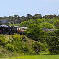Buy canvas prints of North Norfolk Railway in Norfolk, UK by Chris Dorney