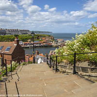 Buy canvas prints of 199 Steps in Whitby, North Yorkshire by Chris Dorney