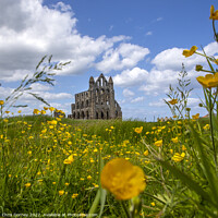Buy canvas prints of Whitby Abbey in North Yorkshire, UK by Chris Dorney