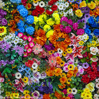 Buy canvas prints of Wall of Artificial Flowers by Chris Dorney