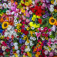Buy canvas prints of Wall of Artificial Flowers by Chris Dorney