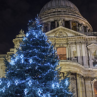 Buy canvas prints of St. Pauls Cathedral at Christmas by Chris Dorney