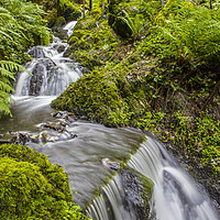Buy canvas prints of Waterfalls in Canonteign in South Devon by Chris Dorney