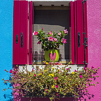 Buy canvas prints of Window with Flowers in Burano by Chris Dorney