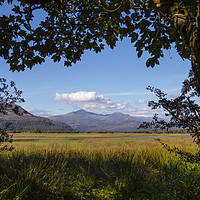 Buy canvas prints of View of Snowdonia from Traeth Glaslyn Nature Reser by Chris Dorney