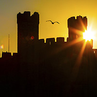 Buy canvas prints of Caernarfon Castle at Sunset in North Wales, UK by Chris Dorney