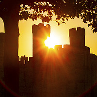 Buy canvas prints of Caernarfon Castle at Sunset in North Wales, UK by Chris Dorney