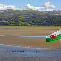 Buy canvas prints of View of the Dwyryd Estuary from Portmeirion in Nor by Chris Dorney