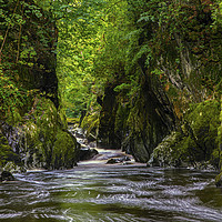 Buy canvas prints of The Fairy Glen in Betws-Y-Coed, Wales by Chris Dorney