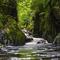 Buy canvas prints of The Fairy Glen in Betws-y-Coed, Wales by Chris Dorney