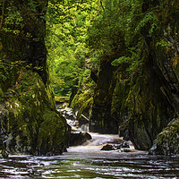 Buy canvas prints of The Fairy Glen in Betws-y-Coed, Wales by Chris Dorney