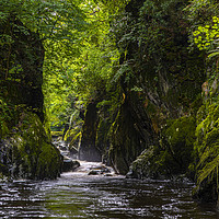 Buy canvas prints of The Fairy Glen in Betws-Y-Coed, Wales by Chris Dorney