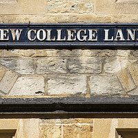 Buy canvas prints of New College Lane in Oxford, UK by Chris Dorney