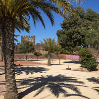 Buy canvas prints of Castle of Silves in Portugal by Chris Dorney