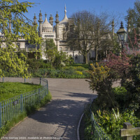 Buy canvas prints of Royal Pavilion in Brighton by Chris Dorney