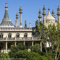Buy canvas prints of Royal Pavilion in Brighton by Chris Dorney