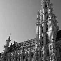 Buy canvas prints of Brussels Town Hall by Chris Dorney