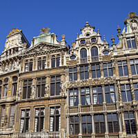 Buy canvas prints of Buildings on Grand Place in Brussels by Chris Dorney