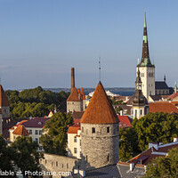 Buy canvas prints of View over Tallinn in Estonia by Chris Dorney