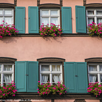 Buy canvas prints of Traditional Architecture in Bamberg by Chris Dorney