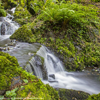 Buy canvas prints of Waterfalls in Canonteign in South Devon by Chris Dorney