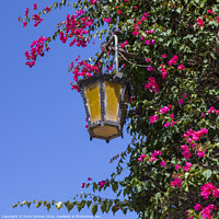 Buy canvas prints of Street Lamp in Mdina by Chris Dorney