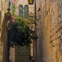 Buy canvas prints of Pretty Street in Mdina  by Chris Dorney