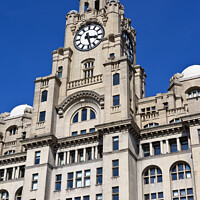 Buy canvas prints of Royal Liver Building in Liverpool by Chris Dorney