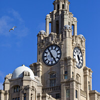 Buy canvas prints of Royal Liver Building in Liverpool by Chris Dorney