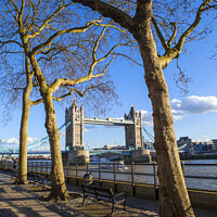 Buy canvas prints of View of Tower Bridge along the Thames Path in London by Chris Dorney