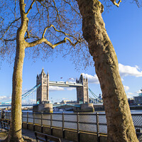 Buy canvas prints of View of Tower Bridge from the Thames Path in London by Chris Dorney