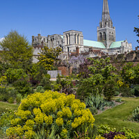 Buy canvas prints of Chichester in Sussex by Chris Dorney